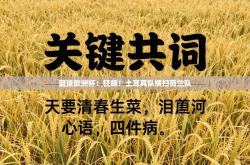 篮球欧洲杯：狂飙！土耳其队横扫荷兰队