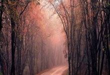 辽宁宏运卫冕心切！逆转强敌抢夺胜利关键！