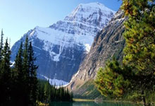 狼队球员齐心协力，助球队获得胜利