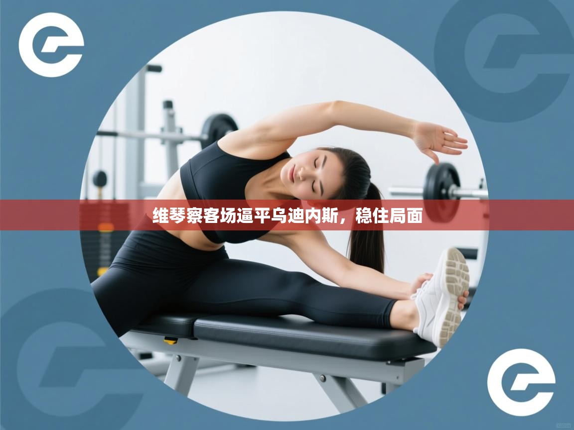 维琴察客场逼平乌迪内斯，稳住局面  第1张