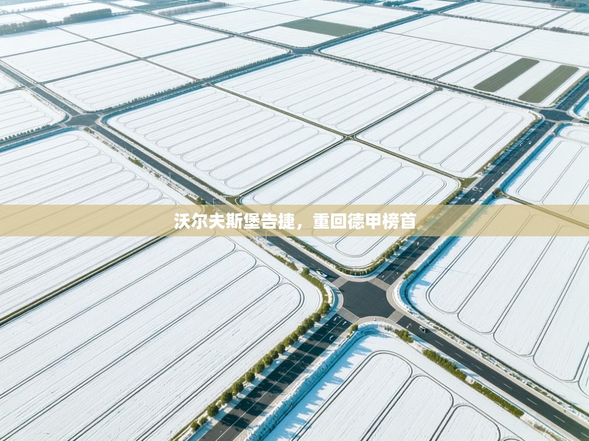 沃尔夫斯堡告捷，重回德甲榜首  第1张