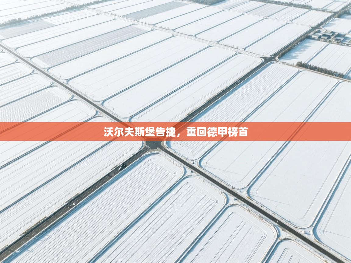 沃尔夫斯堡告捷，重回德甲榜首  第2张